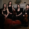 DublinStringQuartet2 image